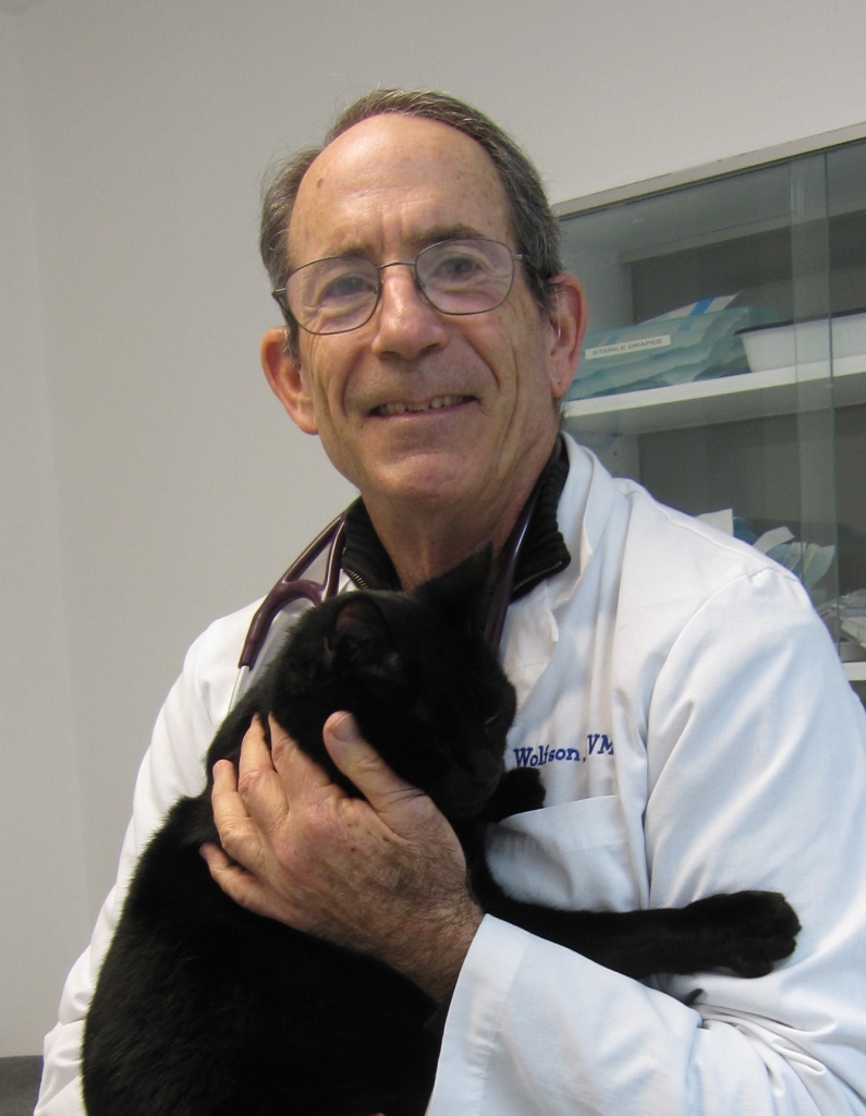 Dr. Jon Wolfson Dr. Jon Wolfson