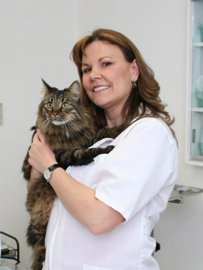Dr. Wendy Salaguinto Dr. Wendy Salaguinto